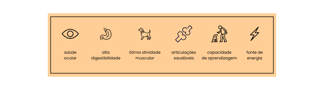 Óleo de Salmão Natural para cães e gatos, oferecendo benefícios essenciais como saúde ocular, alta digestibilidade, ótima atividade muscular, articulações saudáveis, capacidade de aprendizagem e uma fonte de energia concentrada. Ideal para promover o bem-estar geral e a vitalidade do seu pet