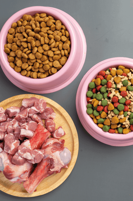 3 taças com alimentação para pets, para representar os tipos de alimentos para pets: a ração comercial, a alimentação natural e as dietas especiais