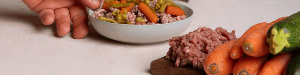 prato composto por carne moída, cenoura e curgete, como representativo da Importância da Alimentação Low Carb para Cães e Gatos
