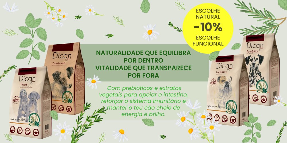 Promoção Dican